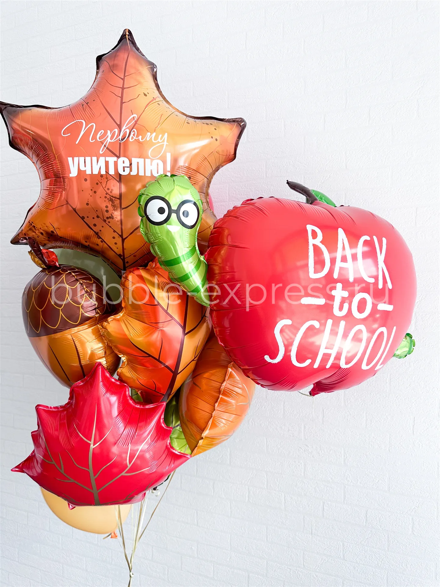 Композиция из шаров на 1 сентября "Back to School"